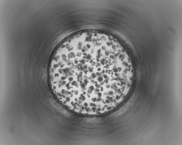 X0000111011025200907171830