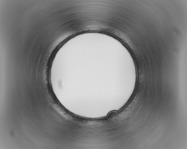 X0000111011026200907171830