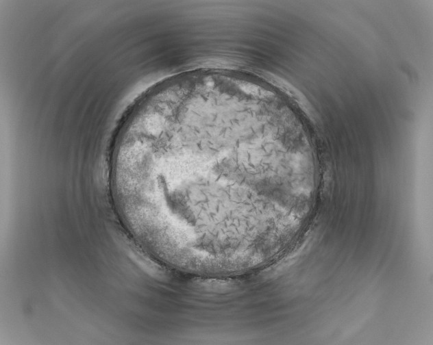X0000111011027200907171830