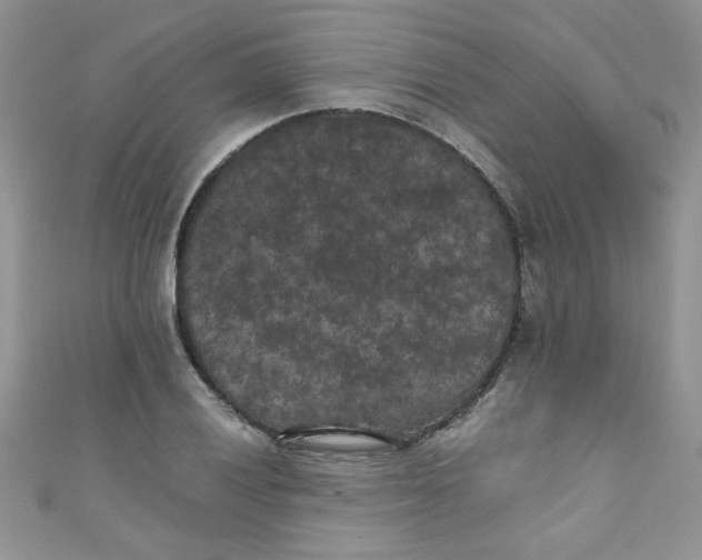 X0000111011028200907171830