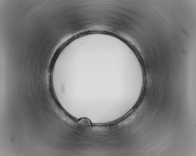 X0000111011029200907171830