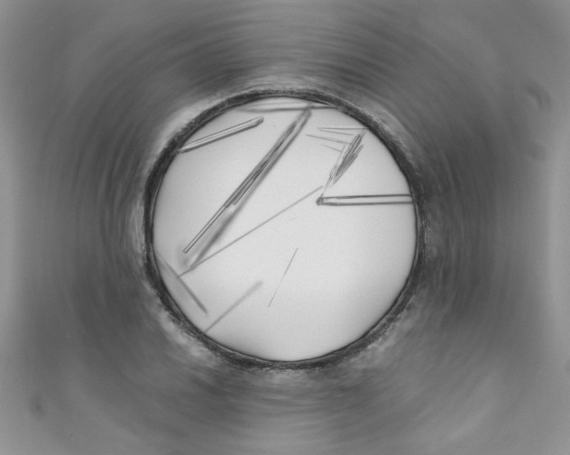 X0000111011030200907171830
