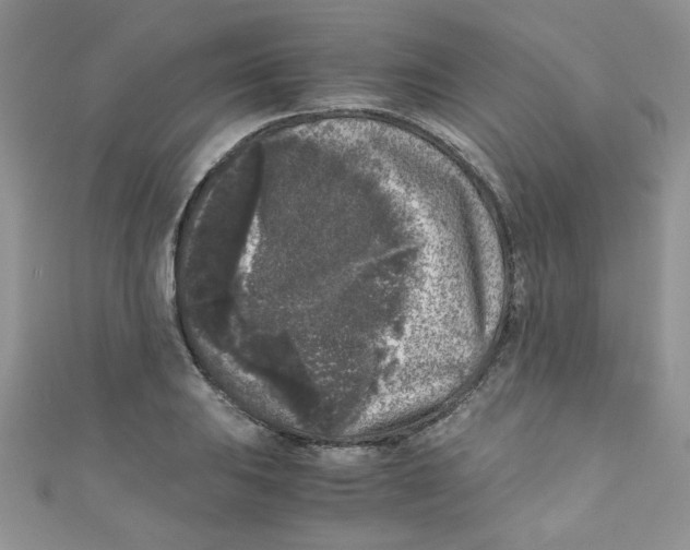 X0000111011031200907171830