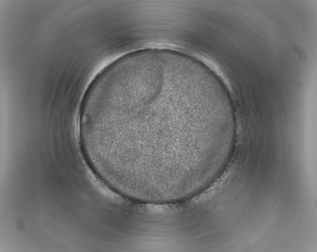 X0000111011032200907171830
