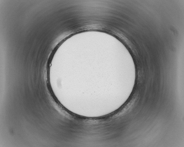 X0000111011034200907171830