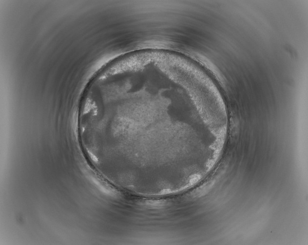 X0000111011035200907171830