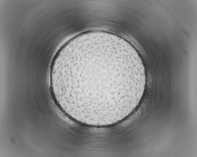X0000111011036200907171830