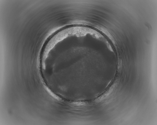 X0000111011037200907171830