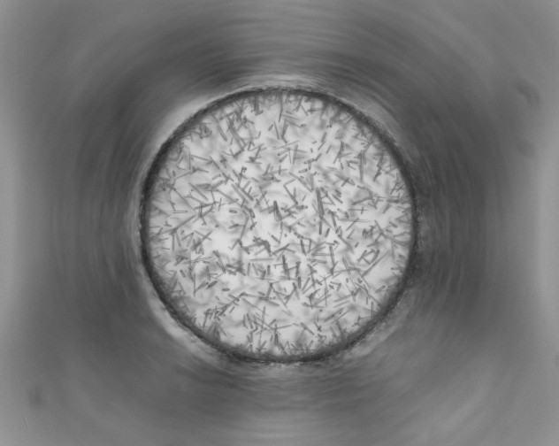 X0000111011038200907171830