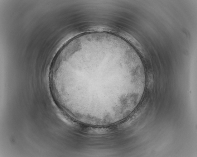 X0000111011039200907171830