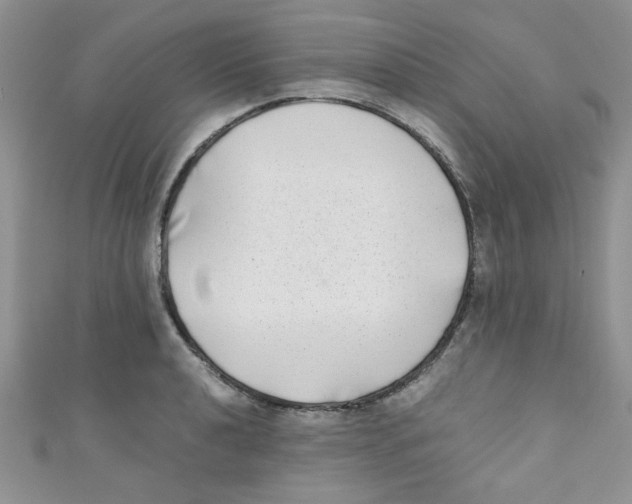 X0000111011040200907171830
