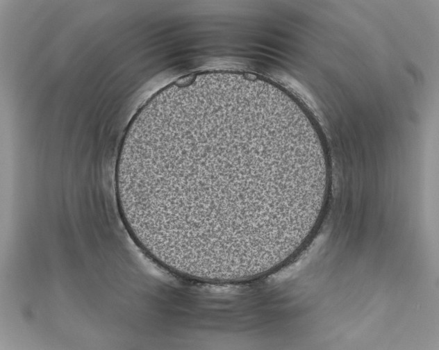 X0000111011041200907171830