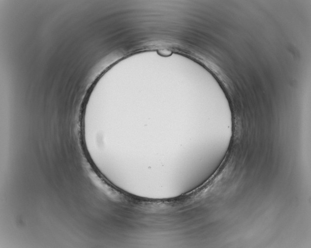 X0000111011042200907171830