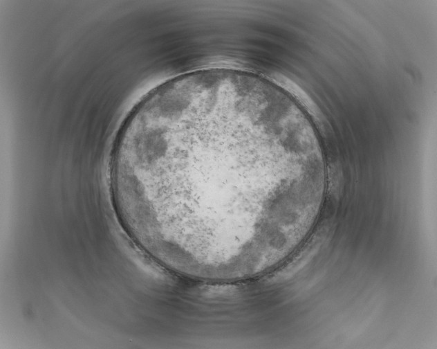 X0000111011043200907171830