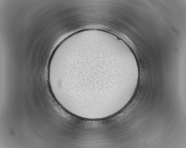 X0000111011044200907171830