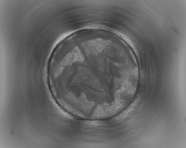 X0000111011045200907171830