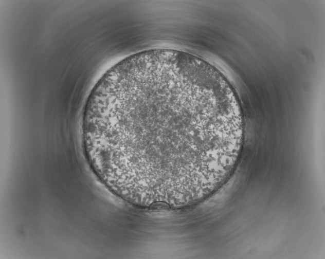 X0000111011048200907171830