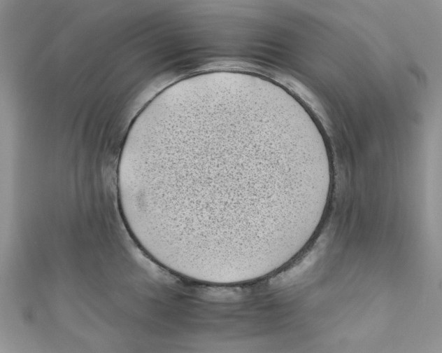 X0000111011049200907171830