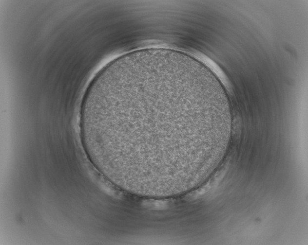 X0000111011051200907171830
