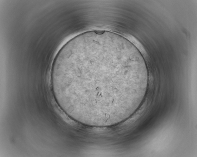 X0000111011052200907171830
