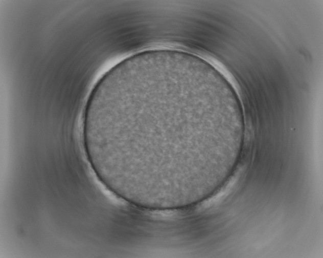 X0000111011053200907171830
