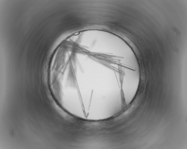 X0000111011054200907171830