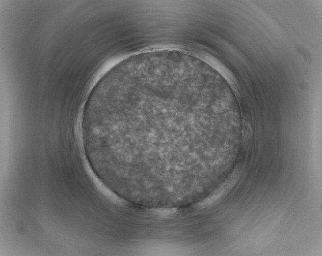X0000111011055200907171830