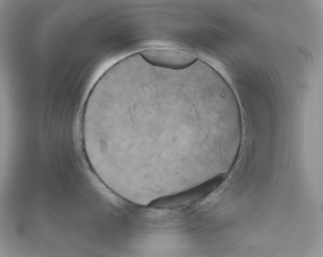 X0000111011056200907171830
