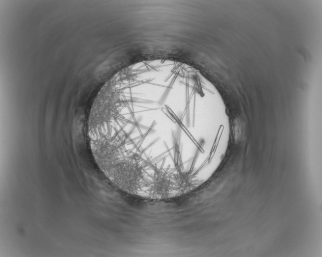 X0000111011059200907171830