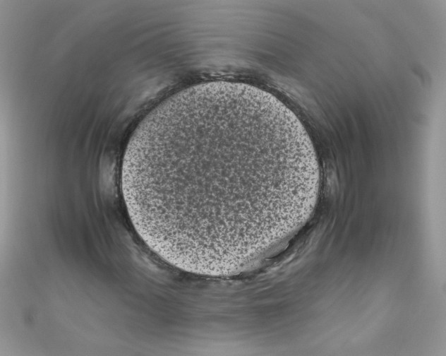 X0000111011060200907171830