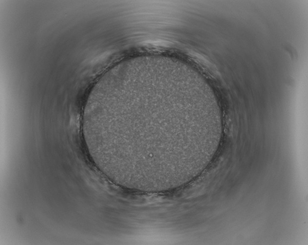 X0000111011061200907171830