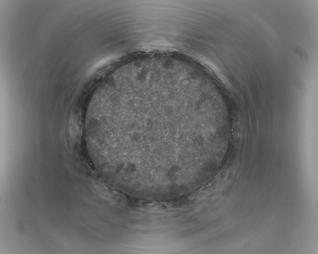 X0000111011063200907171830