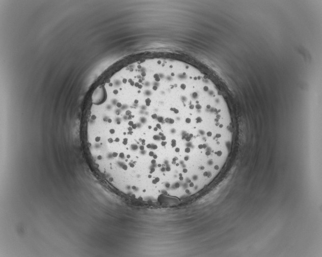X0000111011066200907171830