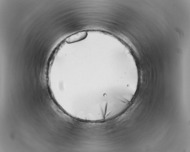 X0000111011068200907171830