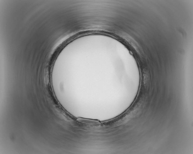 X0000111011069200907171830