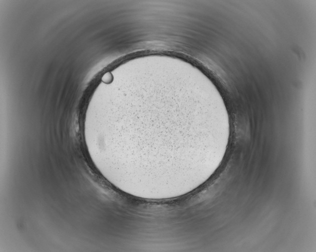 X0000111011070200907171830