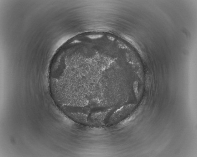 X0000111011071200907171830