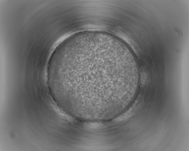 X0000111011074200907171830