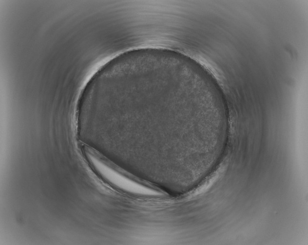 X0000111011077200907171830