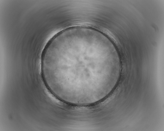 X0000111011079200907171830