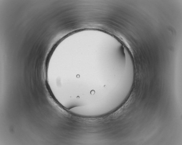 X0000111011080200907171829