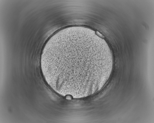 X0000111011081200907171829