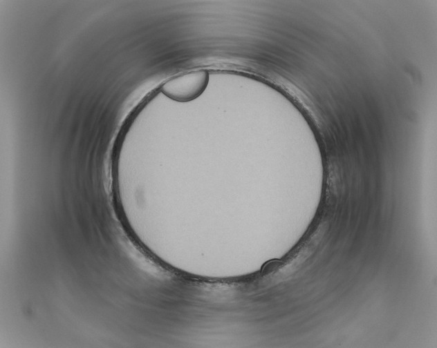 X0000111011082200907171829