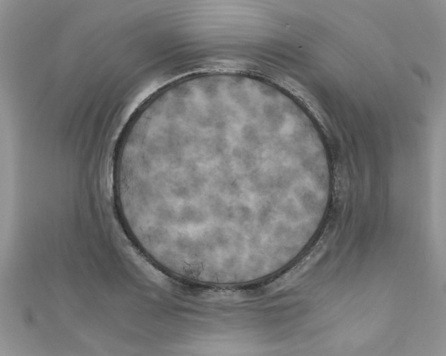 X0000111011083200907171829