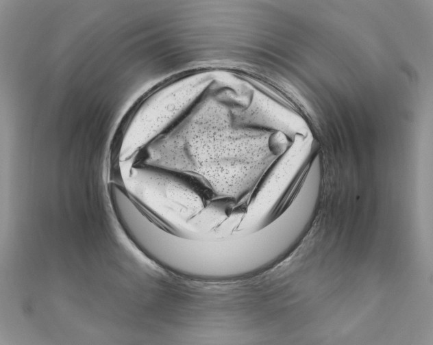 X0000111011084200907171829