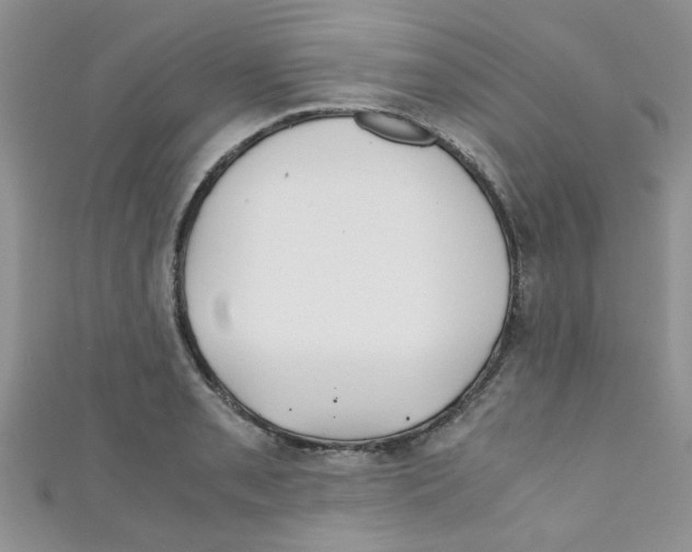 X0000111011085200907171829