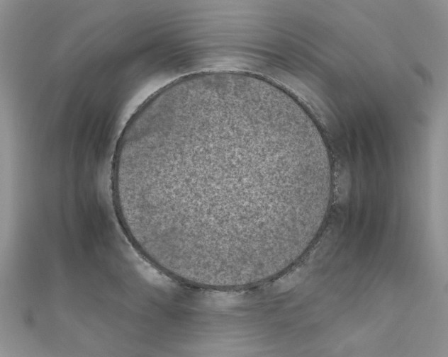 X0000111011086200907171829