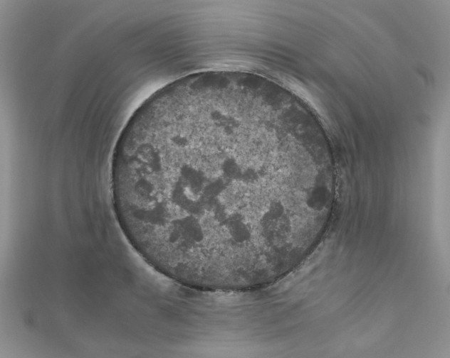 X0000111011087200907171829