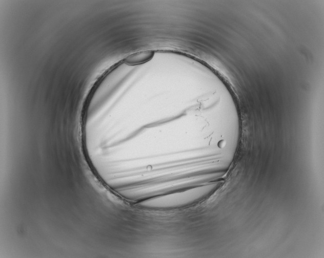 X0000111011088200907171829