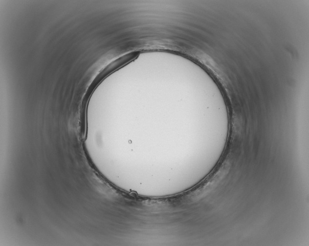 X0000111011089200907171829
